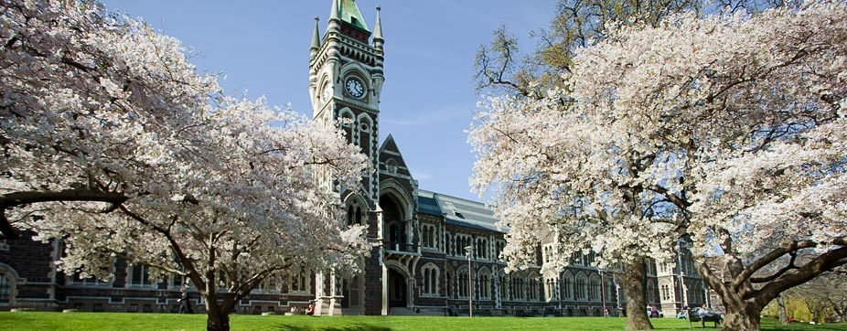 Поступление в университеты Новой Зеландии